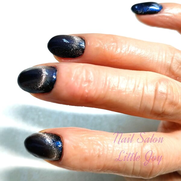 ネイビーマグネットネイル|ネイル&amp;フットケアサロンLittle Joy