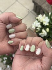 ワンカラー（2色）|San mignon