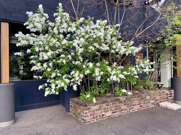 店舗外観|Friend vividhair