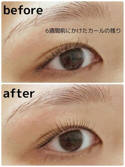 6週間後も残る美カール。整列まつげの実力|まつげパーマ＆眉毛アイブロウ CALM TOKYO 恵比寿本店
