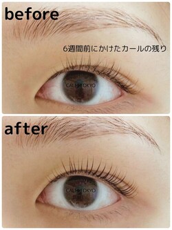6週間経ってもキレイが続く、感動のまつげパーマ|まつげパーマ＆眉毛アイブロウ CALM TOKYO 恵比寿本店