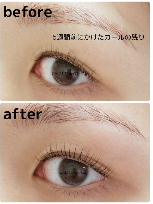 まつげの印象は6週間後にも差が出る|まつげパーマ＆眉毛アイブロウ CALM TOKYO 恵比寿本店
