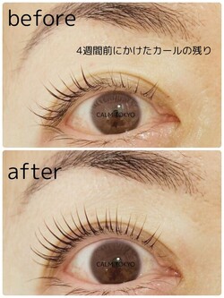 4週間後もキレイが続く整列まつげ|まつげパーマ＆眉毛アイブロウ CALM TOKYO 恵比寿本店