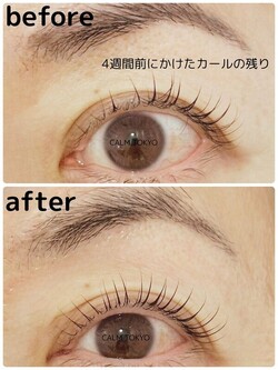 丁寧な技術で持続する、整列まつげ|まつげパーマ＆眉毛アイブロウ CALM TOKYO 恵比寿本店