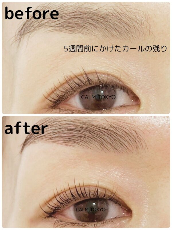 5週間後も上向きキープ。まつげが語る技術力|まつげパーマ＆眉毛アイブロウ CALM TOKYO 恵比寿本店