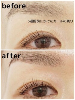 5週間後も上向きキープ。まつげが語る技術力|まつげパーマ＆眉毛アイブロウ CALM TOKYO 恵比寿本店