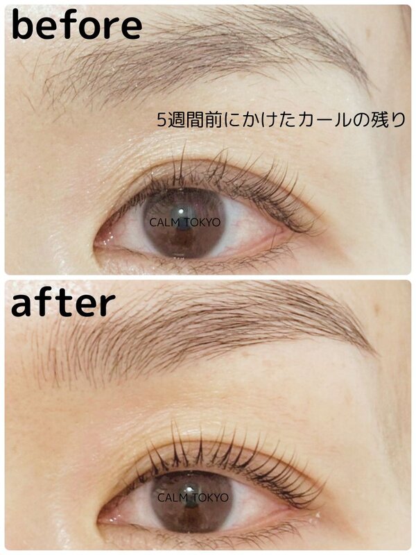 5週間経ってもこの仕上がり。自然で上品なまつげに|まつげパーマ＆眉毛アイブロウ CALM TOKYO 恵比寿本店