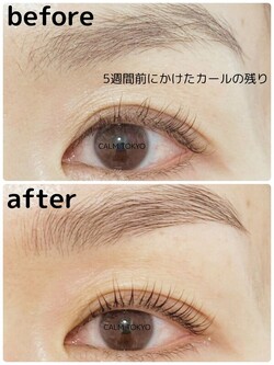 5週間経ってもこの仕上がり。自然で上品なまつげに|まつげパーマ＆眉毛アイブロウ CALM TOKYO 恵比寿本店