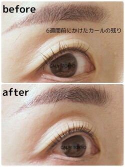 6週間後も上向きキープ。まつげ1本1本が整う感動体験|まつげパーマ＆眉毛アイブロウ CALM TOKYO 恵比寿本店