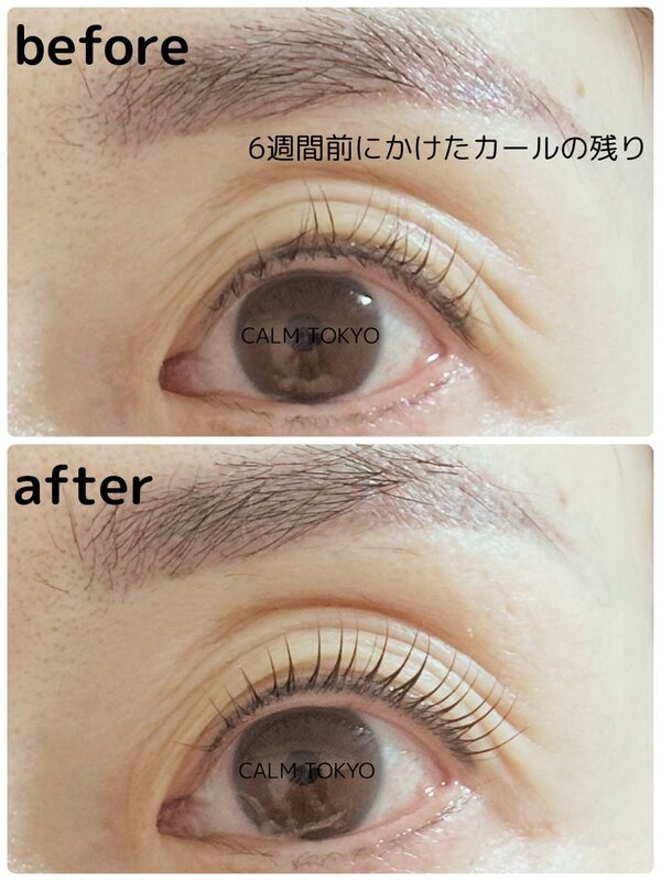 6週間後も実感できる、まつげパーマの持続力|まつげパーマ＆眉毛アイブロウ CALM TOKYO 恵比寿本店