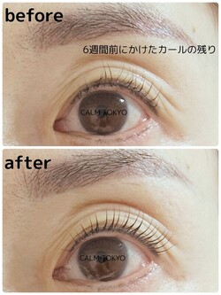 6週間後も実感できる、まつげパーマの持続力|まつげパーマ＆眉毛アイブロウ CALM TOKYO 恵比寿本店