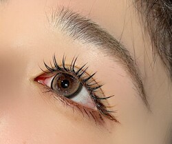 LEDエクステ80本+マツパ|まつげサロン アイビー