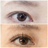 数量限定Lカール|Perfect EYE