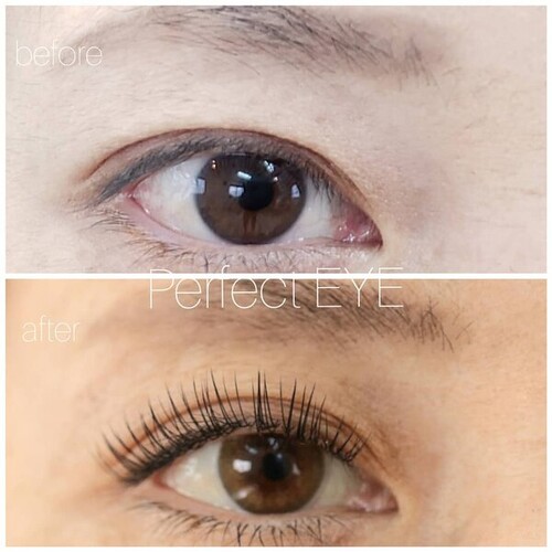 数量限定Lカール