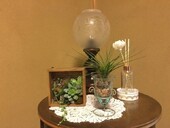 店内②|BellaVita (ベラ・ヴィータ）