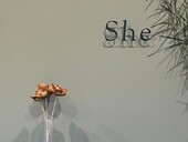 内観①|大人の女性のヘアサロンShe 浜松大平台店