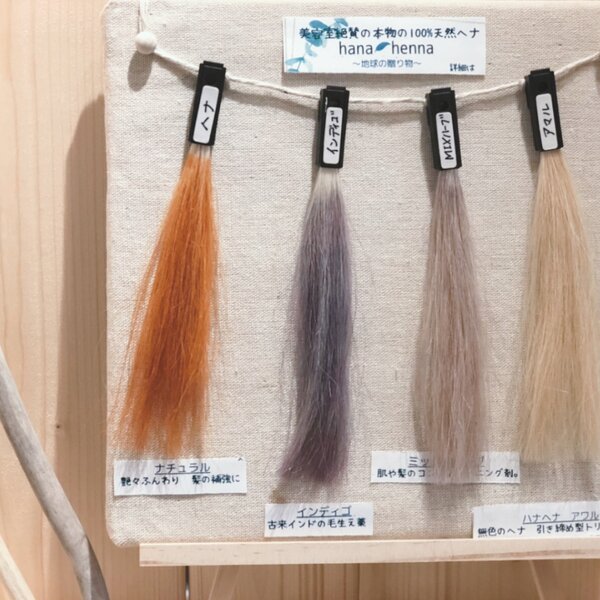 ヘナ②|Notiaノーティア 横浜戸塚