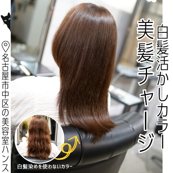 白髪を自然に活かすカラーと髪質改善ケア|美容室ＨＡＮＳ　名古屋　伏見