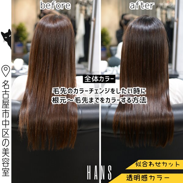 全体カラー｜毛先のカラーチェンジをしたいときはフルカラー◎|美容室ＨＡＮＳ　名古屋　伏見