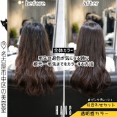 全体カラー｜退色した毛先にもカラーオンしてツヤ感UP◎|美容室ＨＡＮＳ　名古屋　伏見