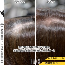 【施術例】部分的な白髪も自然に馴染むカラー|美容室ＨＡＮＳ　名古屋　伏見