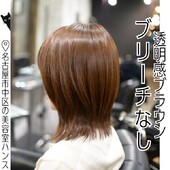 ブリーチなし｜透明感ブラウンのミディアム重めウルフ|美容室ＨＡＮＳ　名古屋　伏見