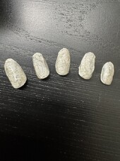 立体感のあるニュアンスネイル|ネイルサロン　CARNET（カルネ）