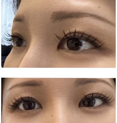 フラットラッシュ120本