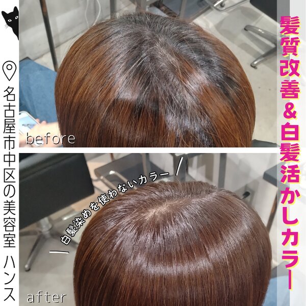 春に向けたロングヘアのメンテナンス・白髪染めを使わないカラー|美容室ＨＡＮＳ　名古屋　伏見