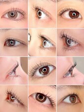 リアン ラッシュリフト　デザイン①|Lien LASHLIFT