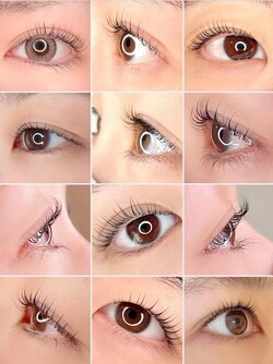 リアン ラッシュリフト　デザイン①|Lien LASHLIFT