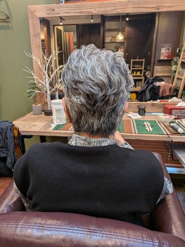 ハンサムグレイヘアー