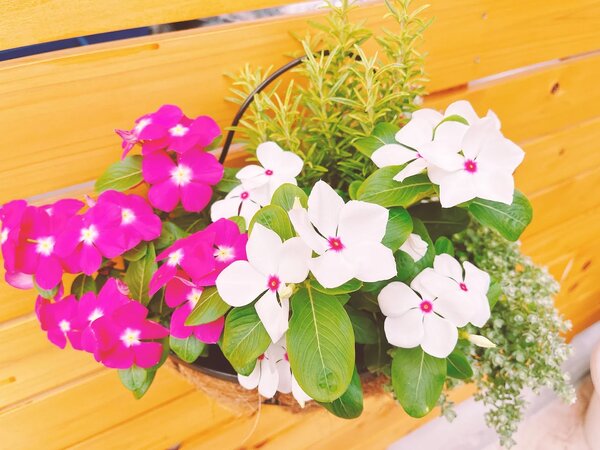 外観|リラクゼーションサロン SHANTI