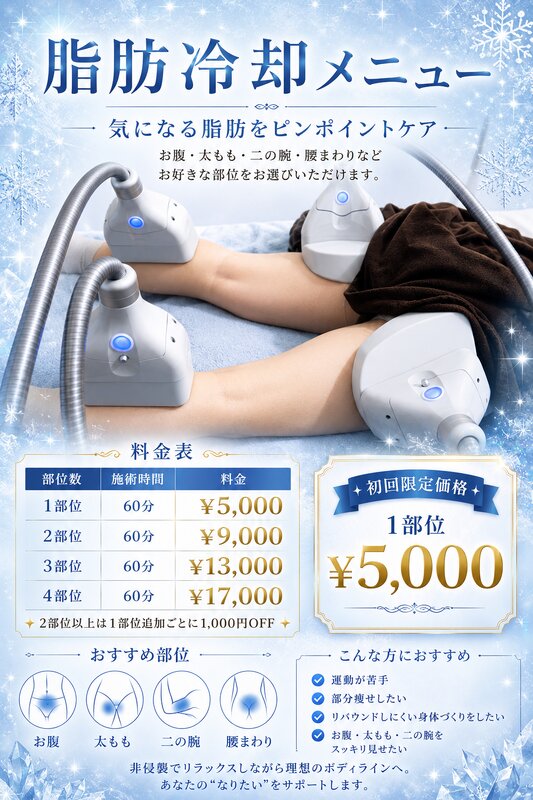 脂肪冷却|LEPIA α