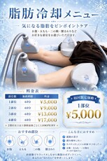 脂肪冷却|LEPIA α