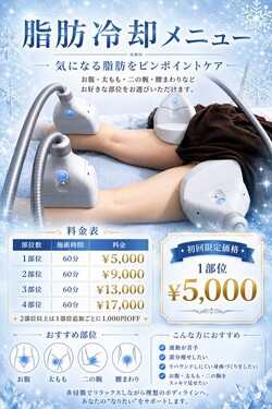 脂肪冷却|LEPIA α