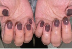 「ハンド ワンカラー」クリア感のある暗めのお色味です！ 透け感が絶妙です！|Nail Salon Linda