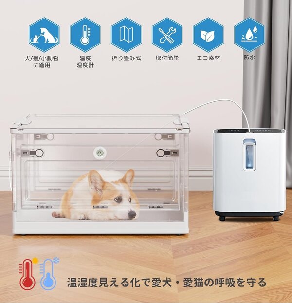 ペット用専用ルーム|水素サロンK3S