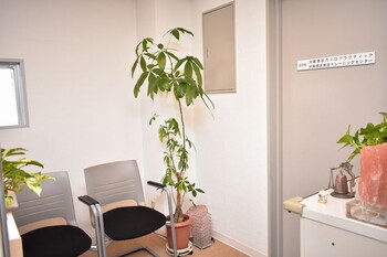 大阪西区カイロプラクティック | 心斎橋のリラクゼーション