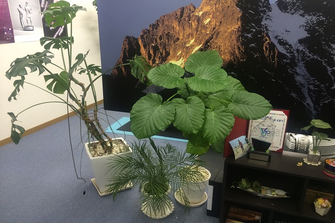 BODY CONDITION SPACE OSSO | 東広島のリラクゼーション BODY CONDITION SPACE OSSO | 東広島のリラクゼーション