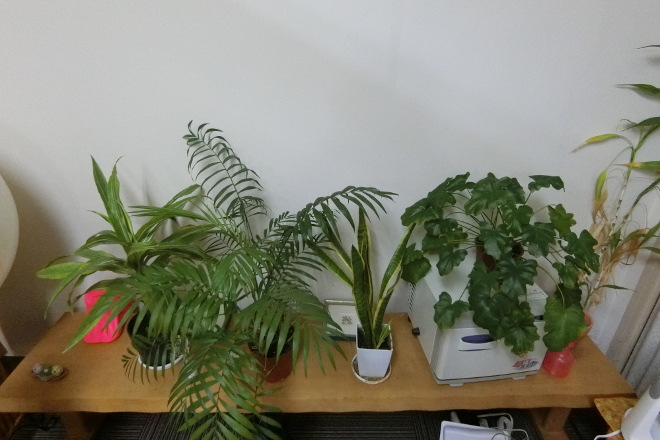 整体療術ザ・キュアーズ | 赤坂のリラクゼーション