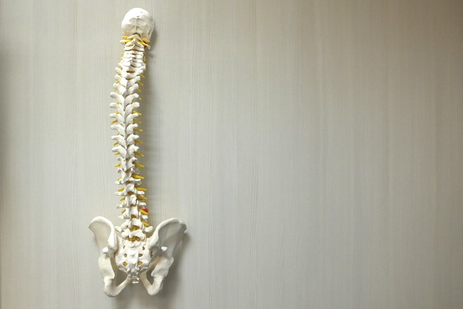 プリファレンス カイロプラクティック浦和 | 浦和のリラクゼーション