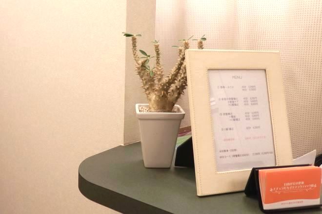 ナチュラルカイロプラクティック院 | 自由が丘のリラクゼーション