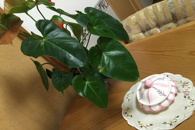 新リンパサロン立会川 | 大井町のリラクゼーション