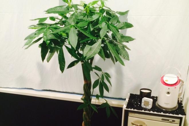 DearRe:Me | 渋谷のエステサロン DearRe:Me | 渋谷のエステサロン