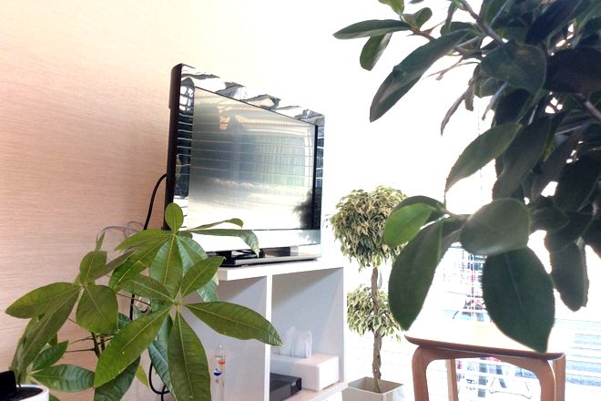 吉祥寺 みやま鍼灸院 | 吉祥寺のリラクゼーション