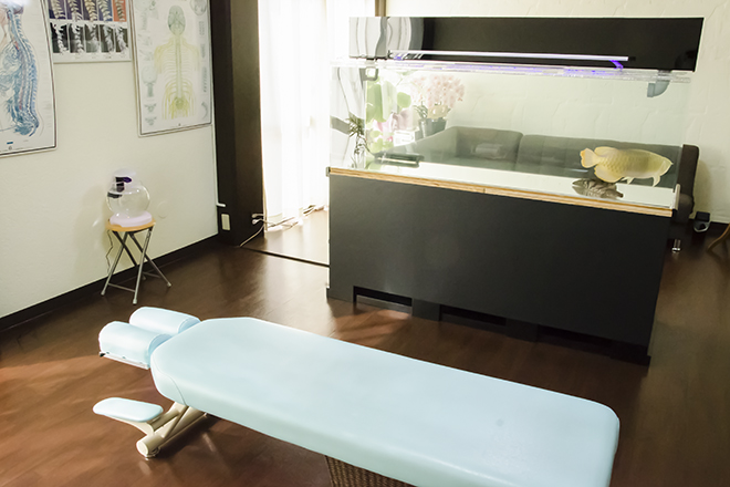 佐藤カイロプラクティックオフィス | 越谷のエステサロン 佐藤カイロプラクティックオフィス | 越谷のエステサロン