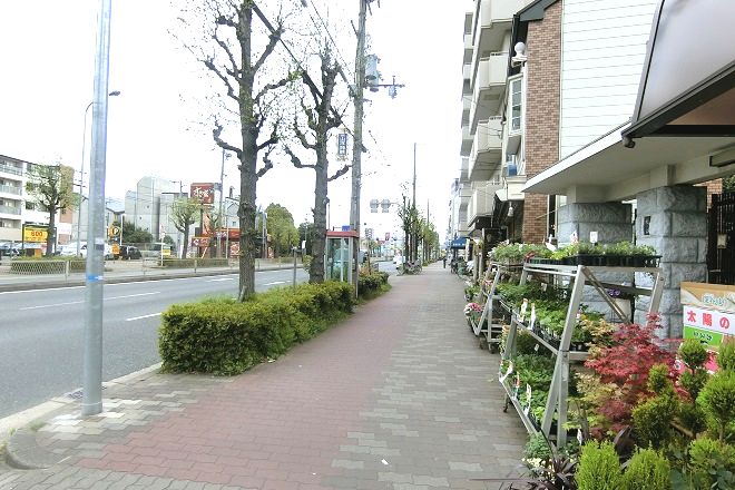 愛 整体院 | 天王寺/阿倍野のリラクゼーション