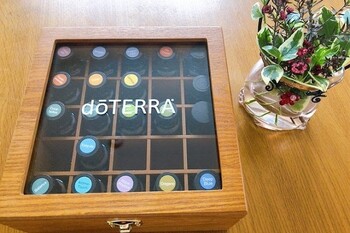 オリーブの実 | 草加のエステサロン