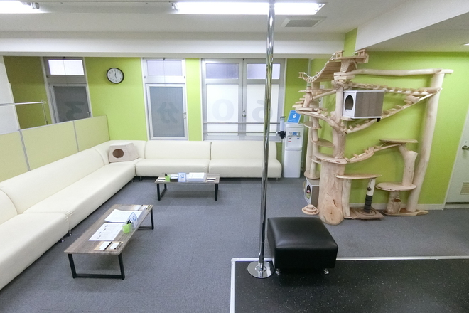 リフレス | 大井町のリラクゼーション リフレス | 大井町のリラクゼーション